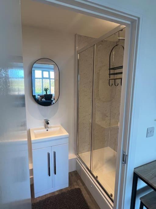 Abbotsbury 1 Bed Studio Opposite Uwe Free Parking Bristol Eksteriør billede