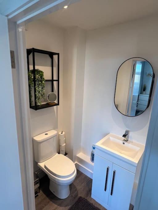 Abbotsbury 1 Bed Studio Opposite Uwe Free Parking Bristol Eksteriør billede