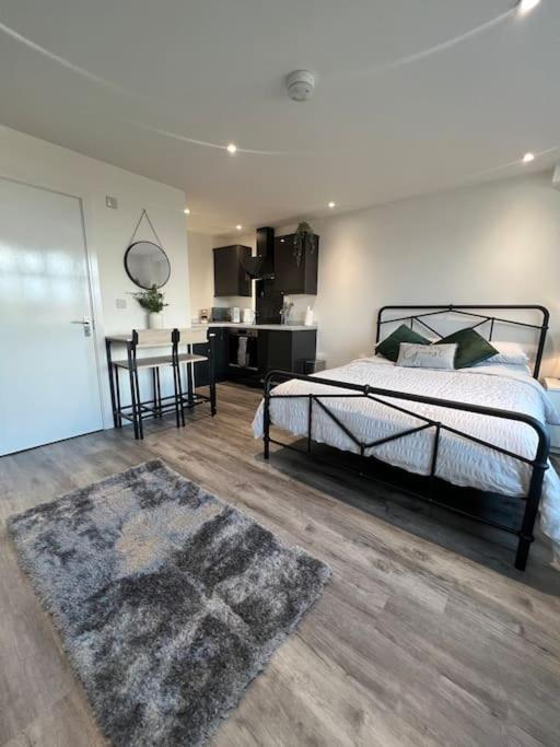Abbotsbury 1 Bed Studio Opposite Uwe Free Parking Bristol Eksteriør billede